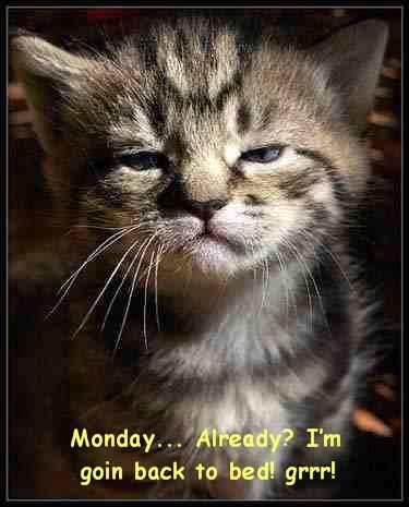 Monday...