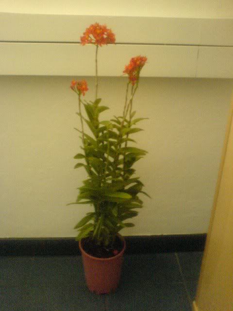 DSC01160.jpg