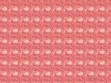 CACHEMIRE-ROSA-1.jpg CACHEMIRE ROSA image by SHELYS28