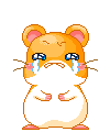 sad hamster