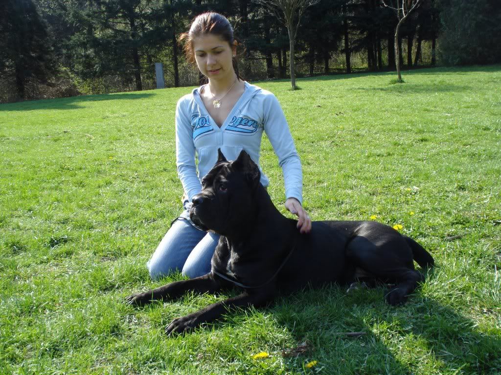 Качена снимка