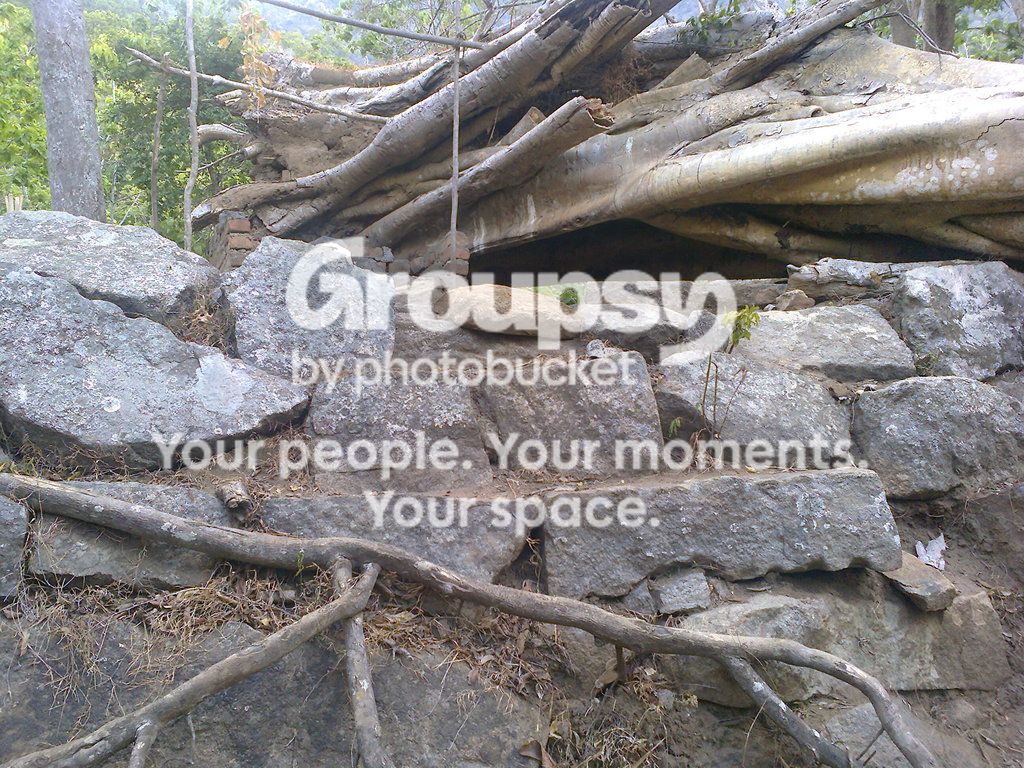Photo0016_zpsfqcvcdqp.jpg
