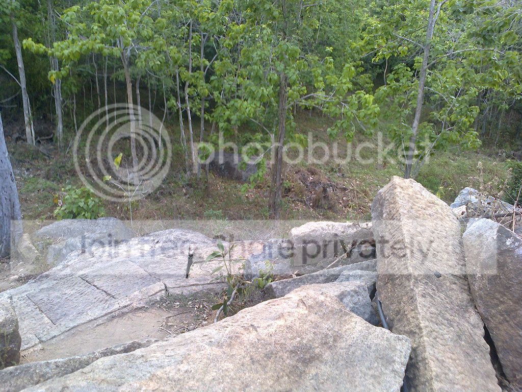 Photo0017_zpswvxztkly.jpg