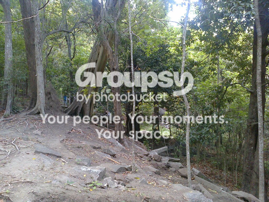 Photo0028_zpstsdivmkq.jpg