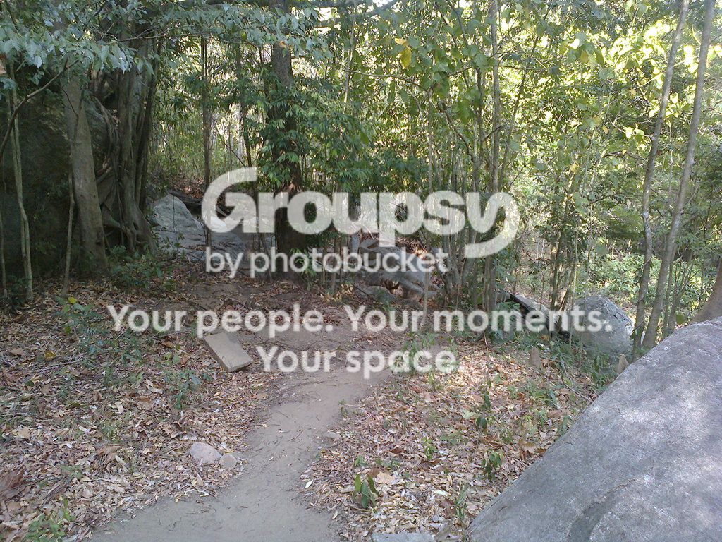 Photo0039_zpsmk1ug5hd.jpg