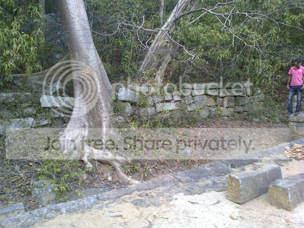 Photo0048_zpsbr3r1cfv.jpg