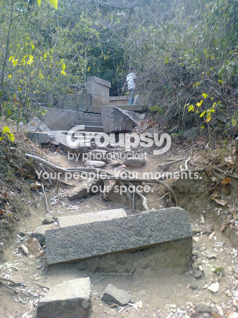Photo0073_zpslp3qetdh.jpg