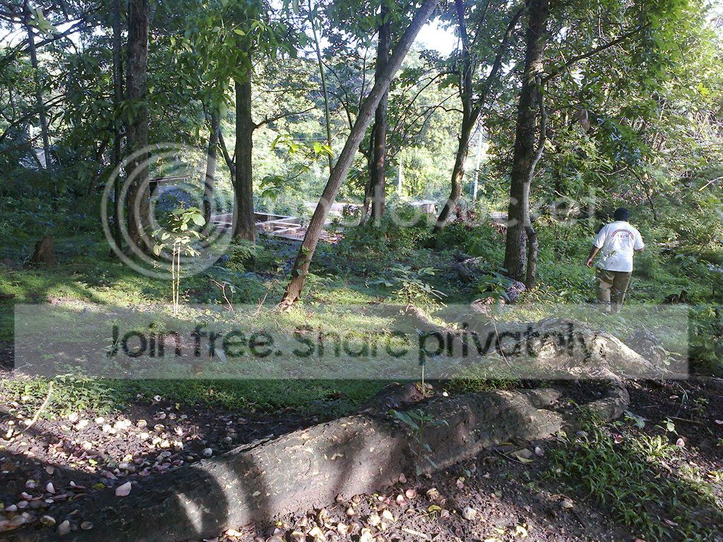 Photo0085_zpsro8dplq5.jpg