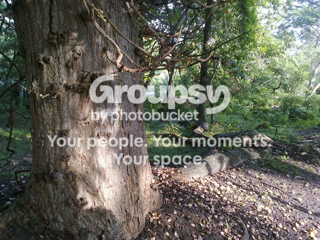 Photo0086_zpseokx4qtf.jpg