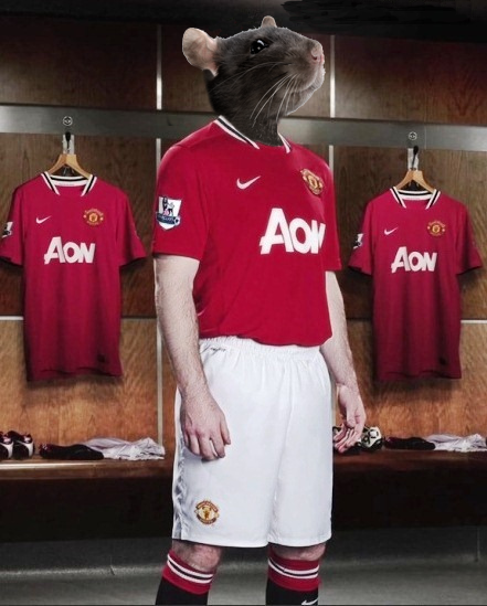 modric_united.png