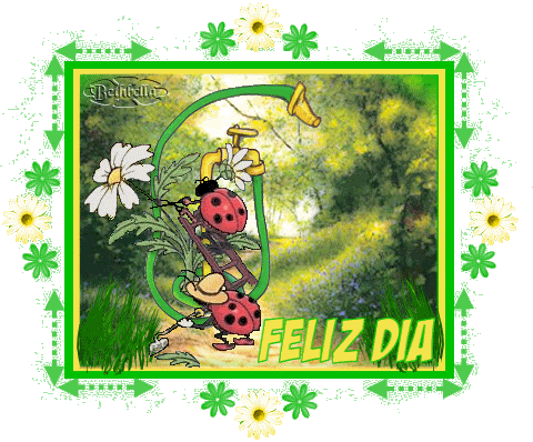 feliz dia pictures, images and photos