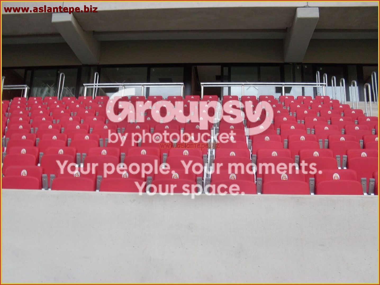 ttarena-013.jpg