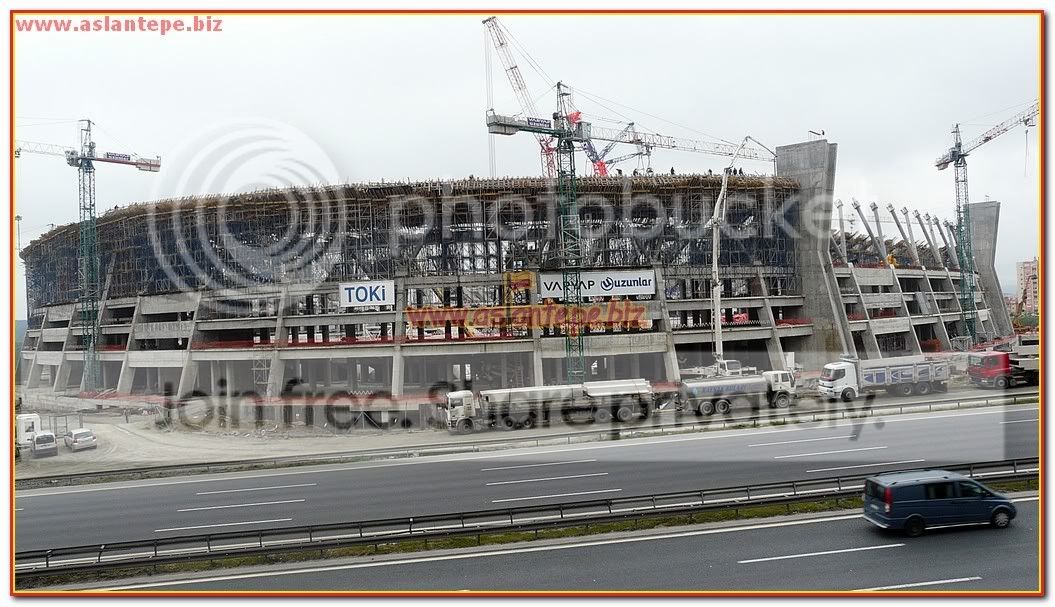 ttarena-045.jpg