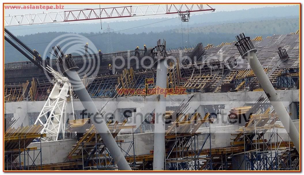 ttarena-059.jpg