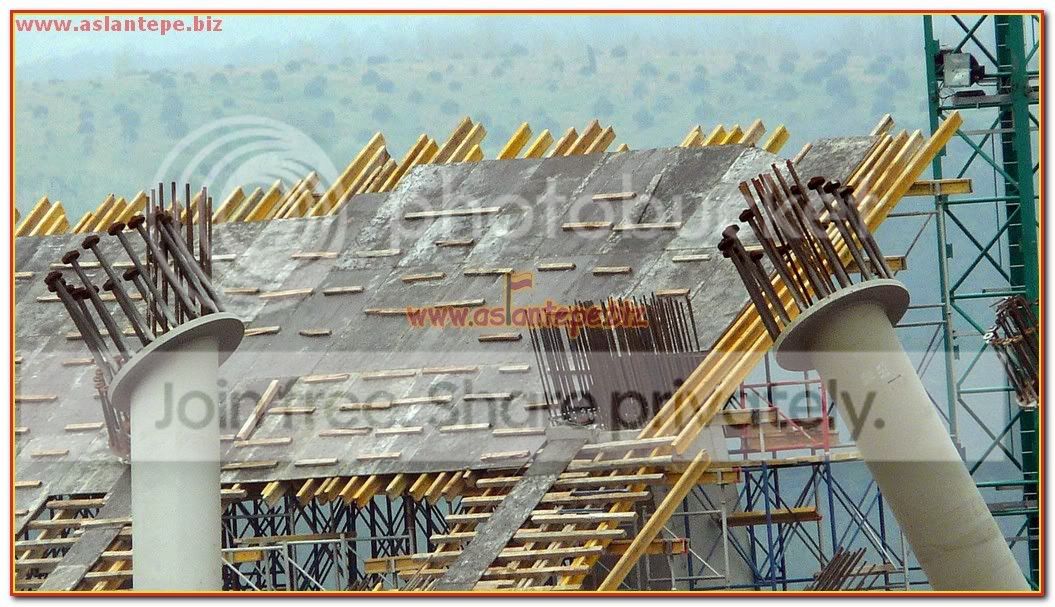 ttarena-062.jpg
