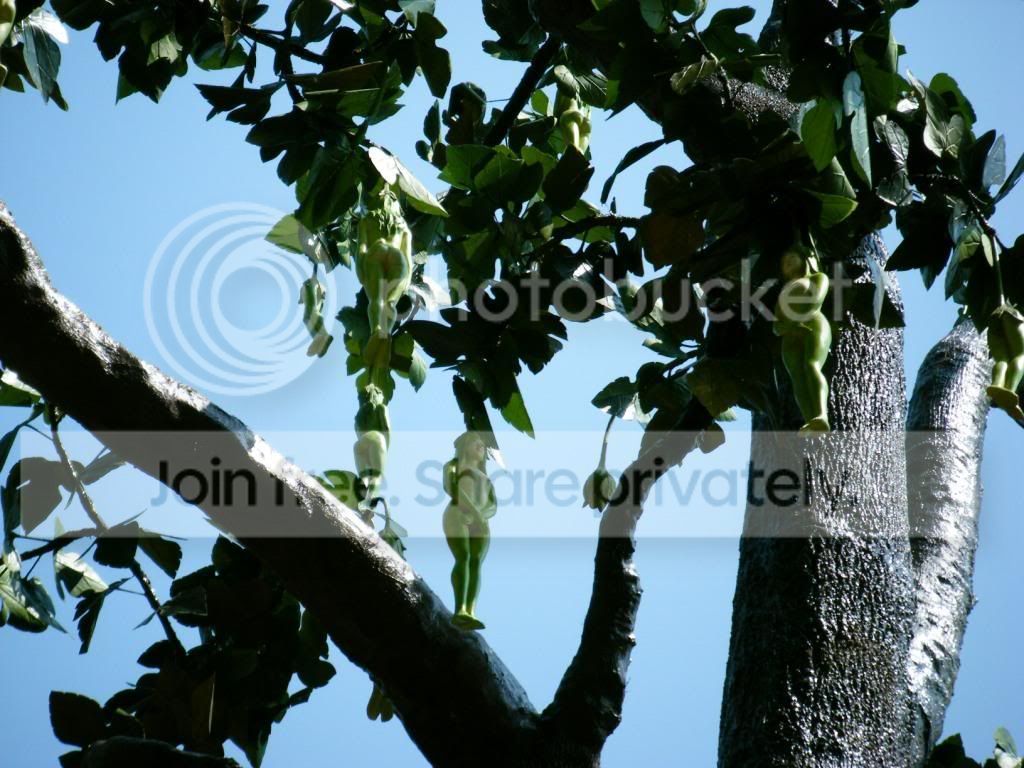 DSCF1044.jpg