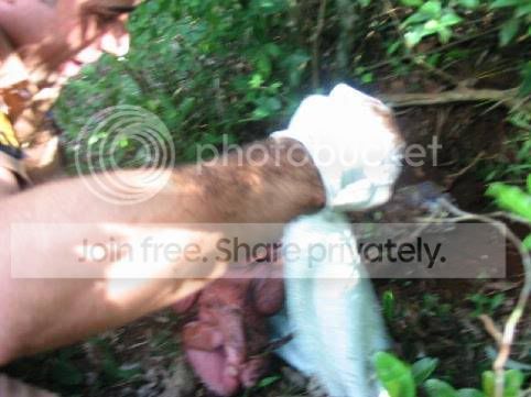 image003zi6.jpg