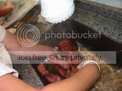 image006gv6.jpg