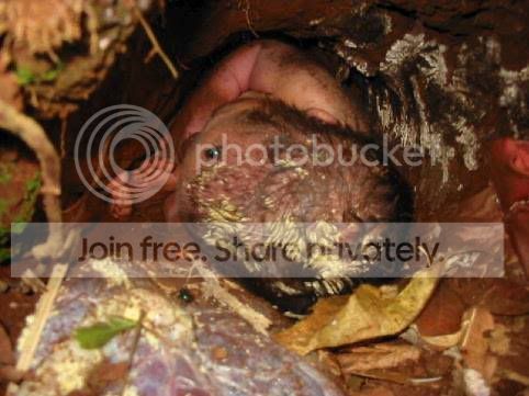 image009qk0.jpg