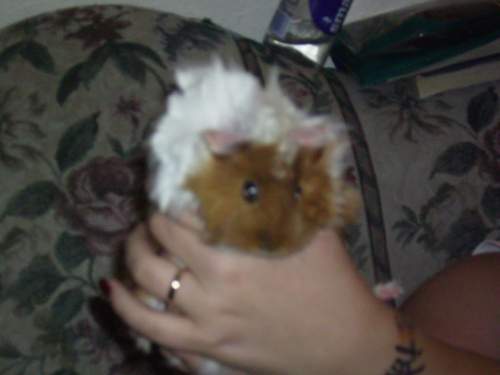 Picture119.jpg