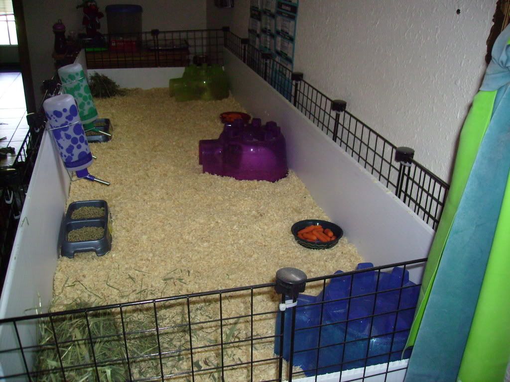 Picture121.jpg