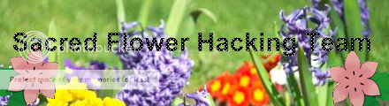 Sacred Flower Hacking Team