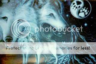 wolfs Pictures, Images and Photos