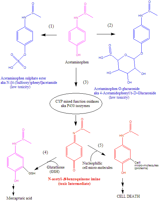 Codeine Extraction - Page 23